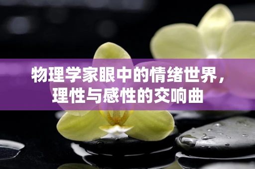 物理学家眼中的情绪世界，理性与感性的交响曲