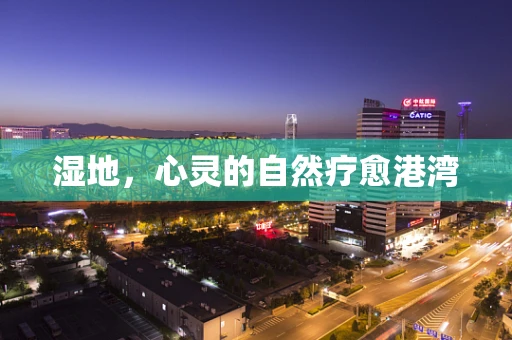 湿地，心灵的自然疗愈港湾
