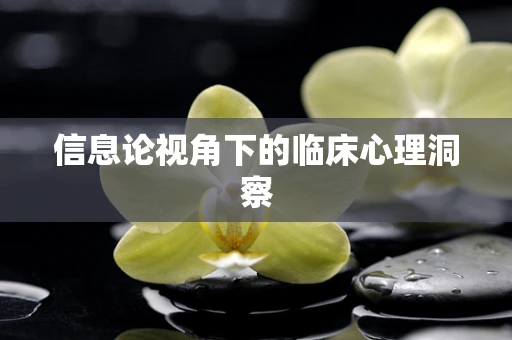 信息论视角下的临床心理洞察