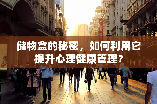 储物盒的秘密，如何利用它提升心理健康管理？