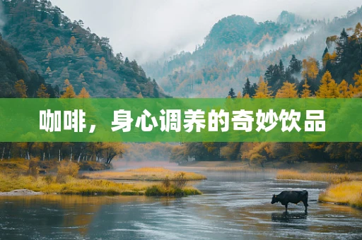 咖啡，身心调养的奇妙饮品