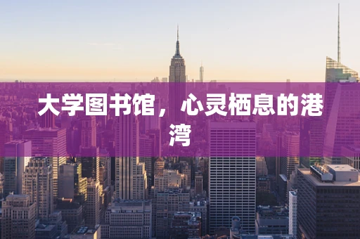 大学图书馆，心灵栖息的港湾