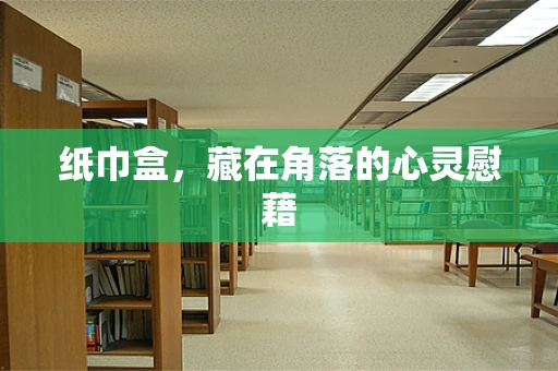 纸巾盒，藏在角落的心灵慰藉