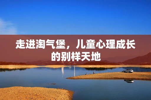 走进淘气堡，儿童心理成长的别样天地