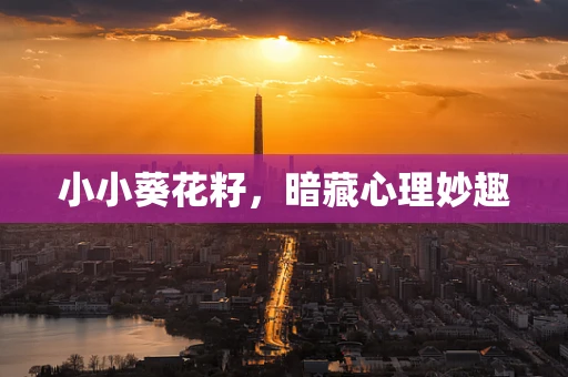 小小葵花籽，暗藏心理妙趣
