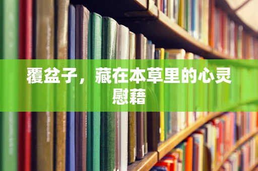 覆盆子，藏在本草里的心灵慰藉
