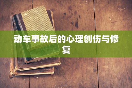动车事故后的心理创伤与修复