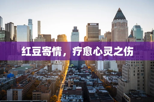 红豆寄情，疗愈心灵之伤