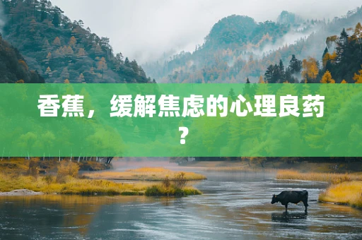 香蕉，缓解焦虑的心理良药？
