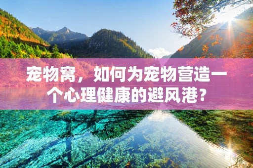 宠物窝，如何为宠物营造一个心理健康的避风港？
