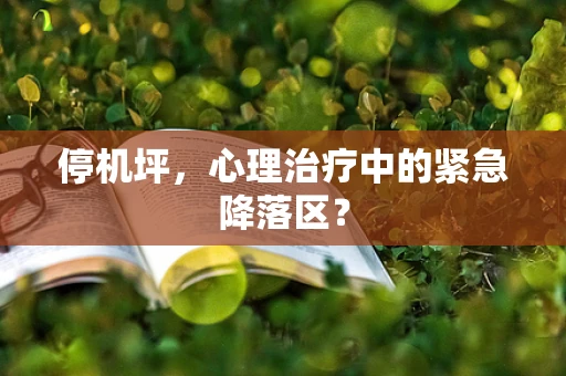 停机坪，心理治疗中的紧急降落区？