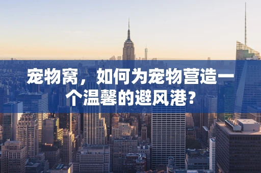 宠物窝，如何为宠物营造一个温馨的避风港？