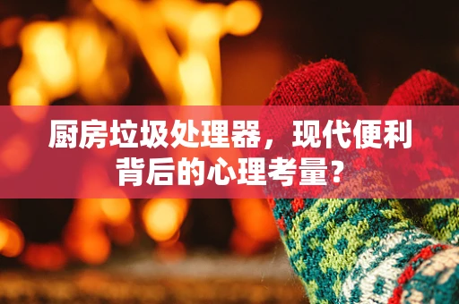 厨房垃圾处理器，现代便利背后的心理考量？