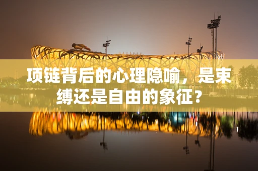 项链背后的心理隐喻，是束缚还是自由的象征？
