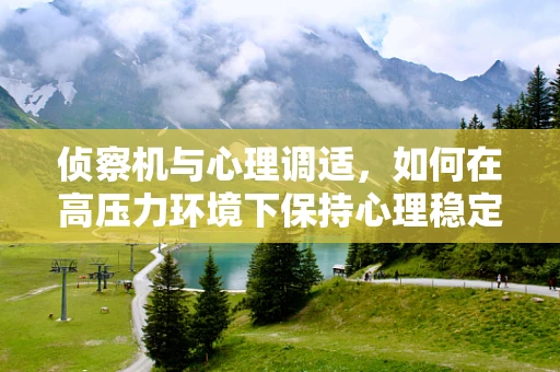 侦察机与心理调适，如何在高压力环境下保持心理稳定？