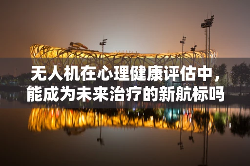 无人机在心理健康评估中，能成为未来治疗的新航标吗？