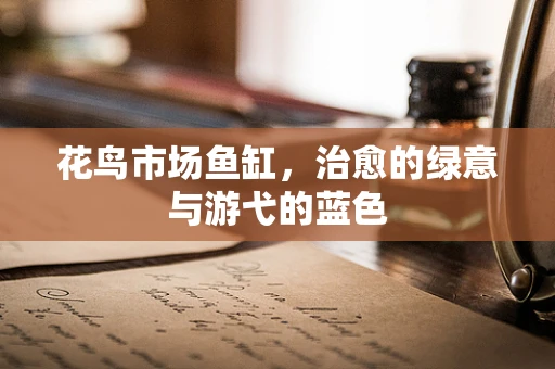 花鸟市场鱼缸，治愈的绿意与游弋的蓝色