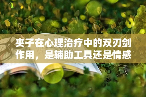 夹子在心理治疗中的双刃剑作用，是辅助工具还是情感负担？