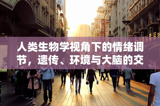人类生物学视角下的情绪调节，遗传、环境与大脑的交响乐