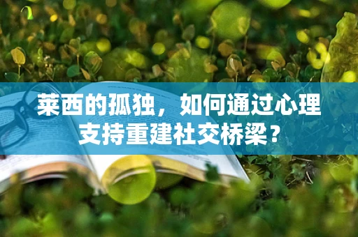 莱西的孤独，如何通过心理支持重建社交桥梁？