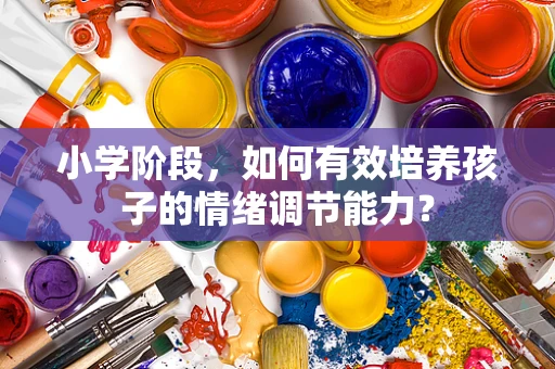 小学阶段，如何有效培养孩子的情绪调节能力？