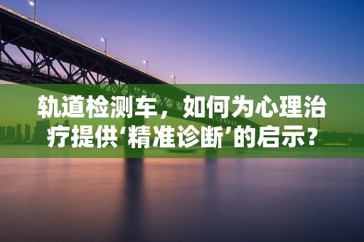 轨道检测车，如何为心理治疗提供‘精准诊断’的启示？