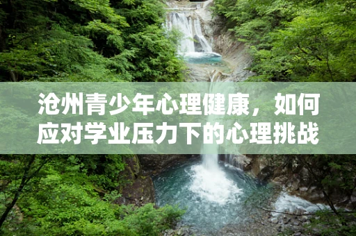沧州青少年心理健康，如何应对学业压力下的心理挑战？