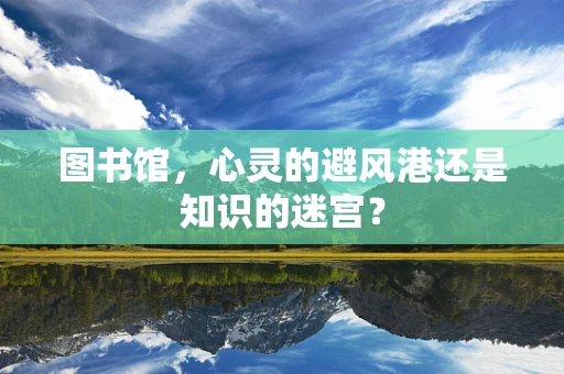 图书馆，心灵的避风港还是知识的迷宫？