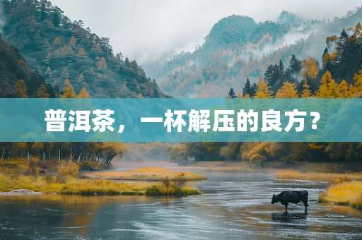 普洱茶，一杯解压的良方？