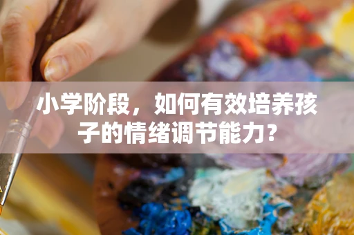 小学阶段，如何有效培养孩子的情绪调节能力？