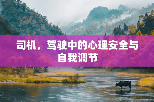 司机，驾驶中的心理安全与自我调节