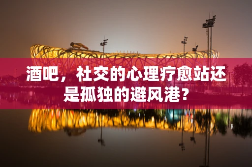 酒吧，社交的心理疗愈站还是孤独的避风港？