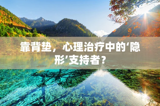 靠背垫，心理治疗中的‘隐形’支持者？