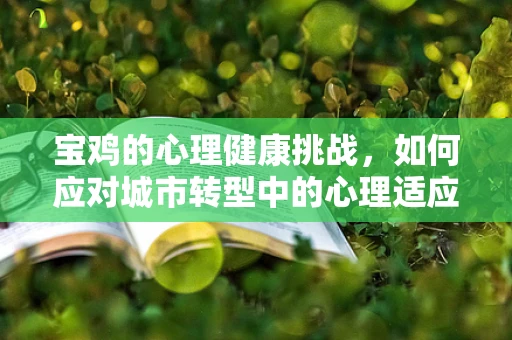 宝鸡的心理健康挑战，如何应对城市转型中的心理适应问题？