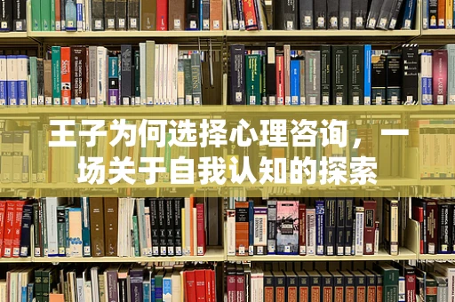 王子为何选择心理咨询，一场关于自我认知的探索