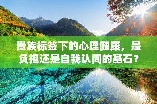 贵族标签下的心理健康，是负担还是自我认同的基石？