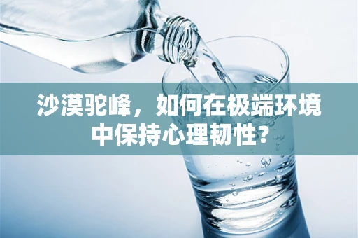 沙漠驼峰，如何在极端环境中保持心理韧性？