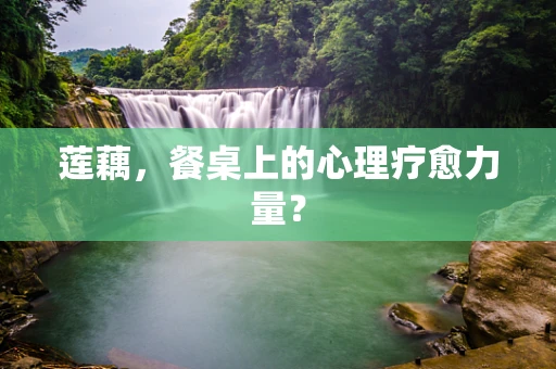 莲藕，餐桌上的心理疗愈力量？
