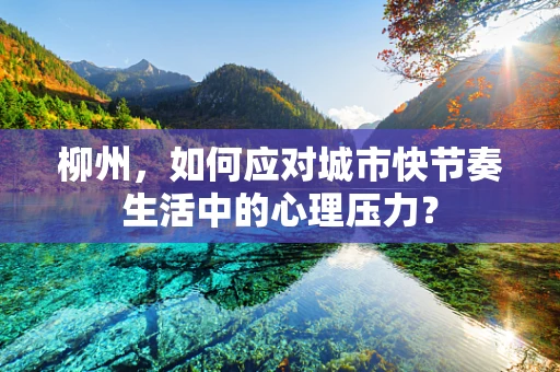 柳州，如何应对城市快节奏生活中的心理压力？