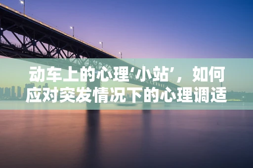 动车上的心理‘小站’，如何应对突发情况下的心理调适？