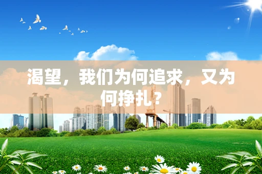 渴望，我们为何追求，又为何挣扎？