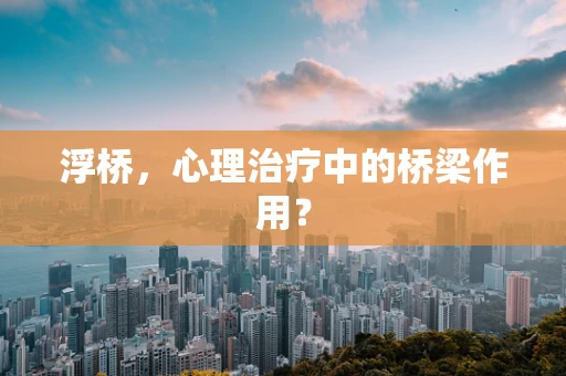 浮桥，心理治疗中的桥梁作用？