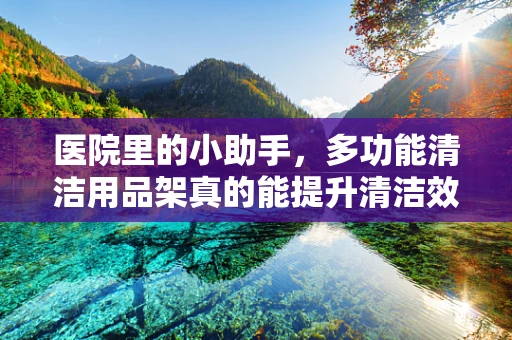 医院里的小助手，多功能清洁用品架真的能提升清洁效率吗？