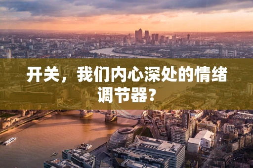开关，我们内心深处的情绪调节器？
