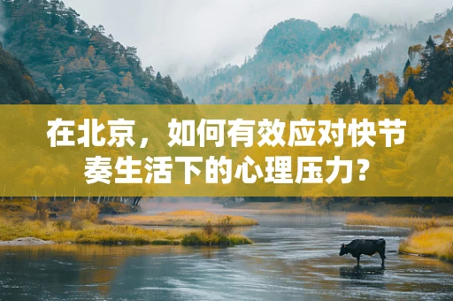 在北京，如何有效应对快节奏生活下的心理压力？