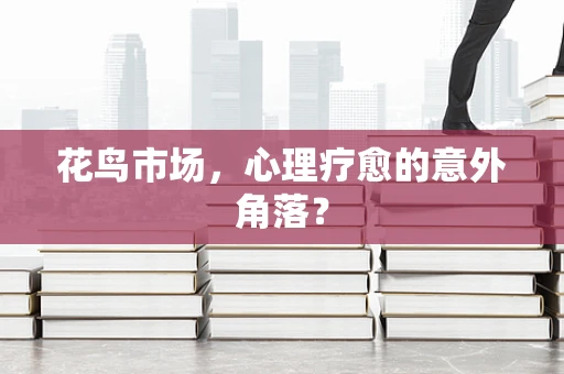 花鸟市场，心理疗愈的意外角落？