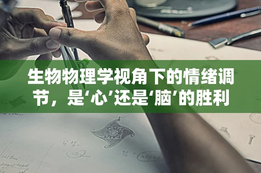 生物物理学视角下的情绪调节，是‘心’还是‘脑’的胜利？