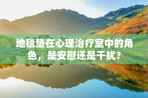 地毯垫在心理治疗室中的角色，是安慰还是干扰？