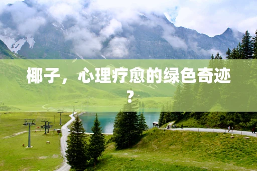 椰子，心理疗愈的绿色奇迹？
