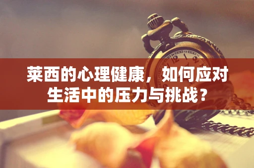莱西的心理健康，如何应对生活中的压力与挑战？
